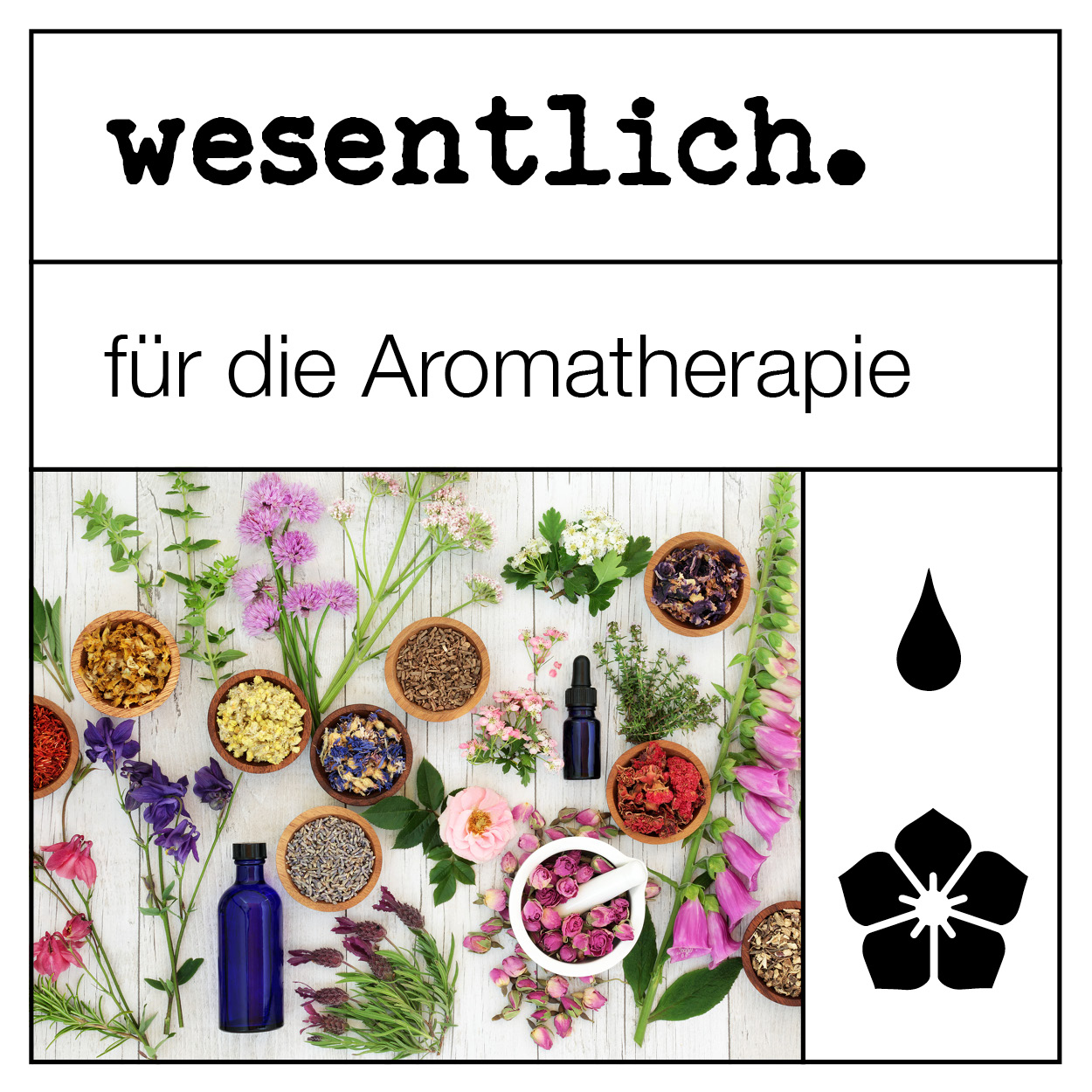 Bergamotte  50ml, Kräuterig, Kräuter, Pflanze, Blume