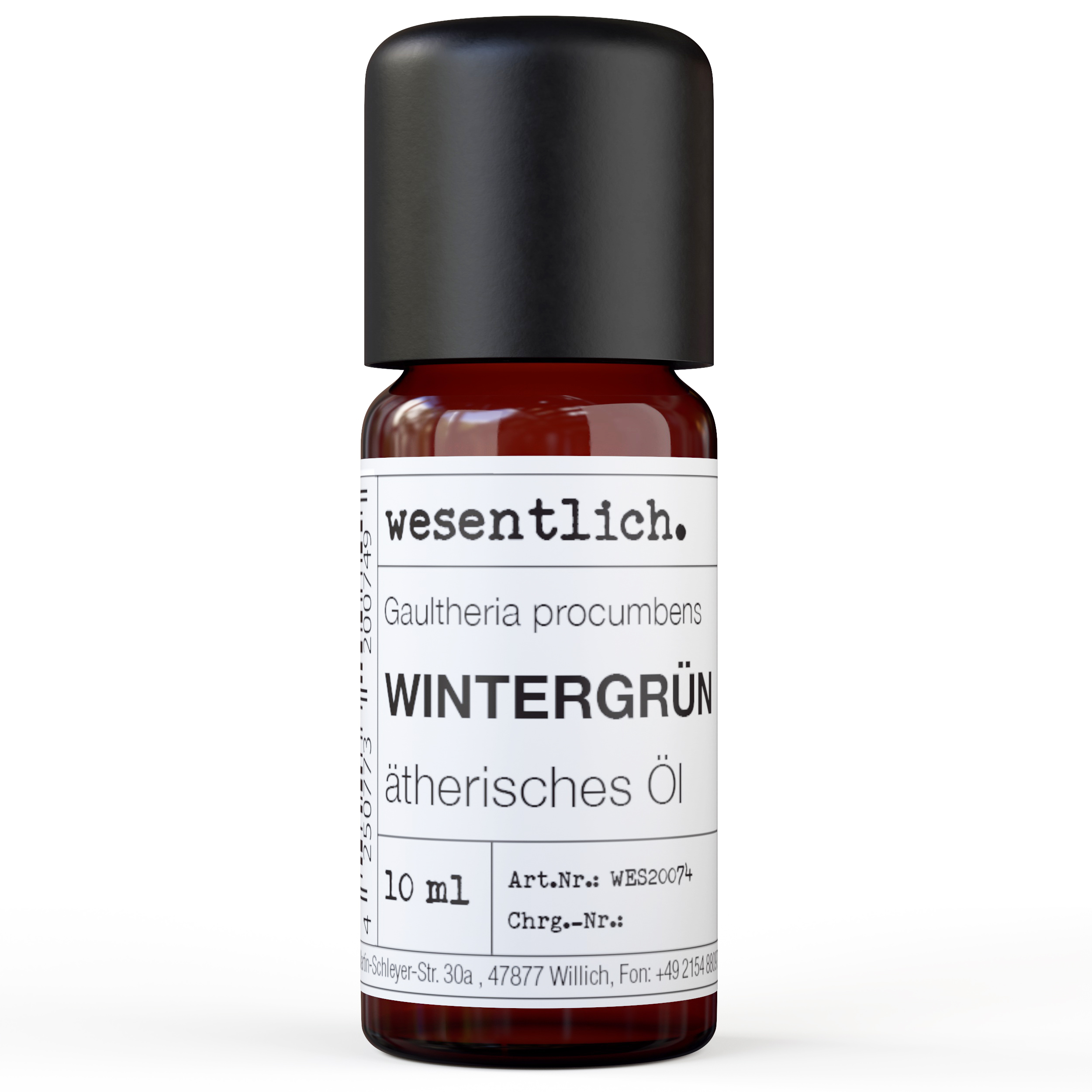 Wintergrün